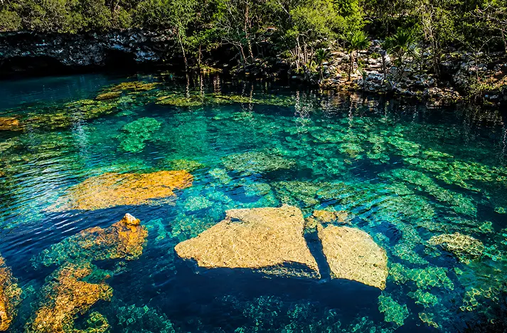 Crystal clear turquoise waters of a natural cenote surrounded by rocks and jungle in Tulum Mexico