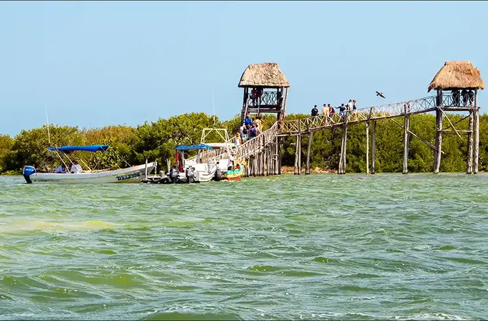 Wooden pier and boats at Holbox Island Mexico with turquoise waters and mangroves